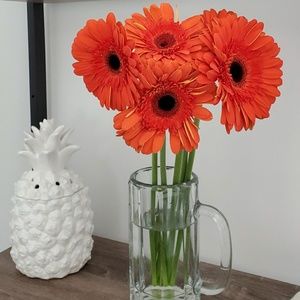 Meet your Posher, Karla